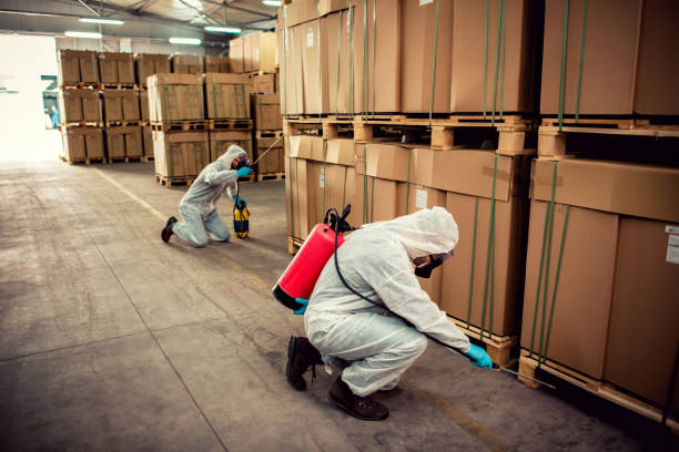 Best Residential Pest Control  in Birchwood Lakes, PA
