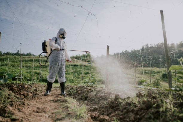 Best Best Pest Control Companies  in Birchwood Lakes, PA
