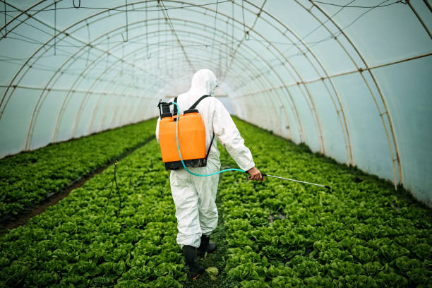 Best Ant Control Services  in Birchwood Lakes, PA