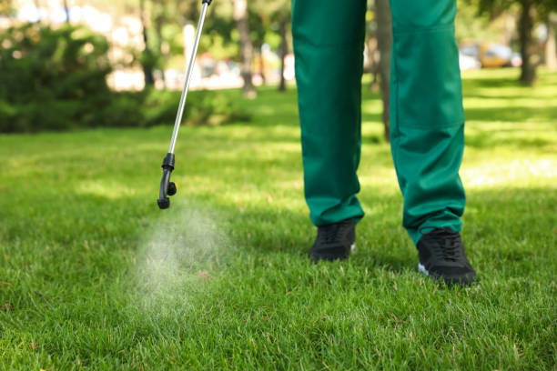 Best Emergency Pest Control  in Birchwood Lakes, PA