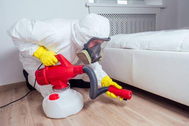 Best Flea Control Services  in Birchwood Lakes, PA