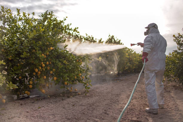Best Affordable Pest Control Services  in Birchwood Lakes, PA