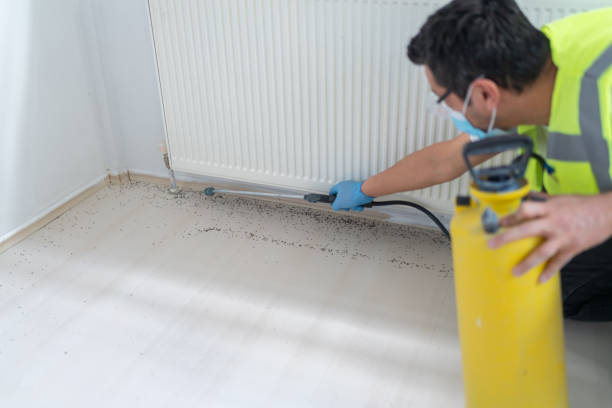 Best Cockroach Control Services  in Birchwood Lakes, PA