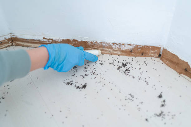 Professional Pest Control in Birchwood Lakes, PA